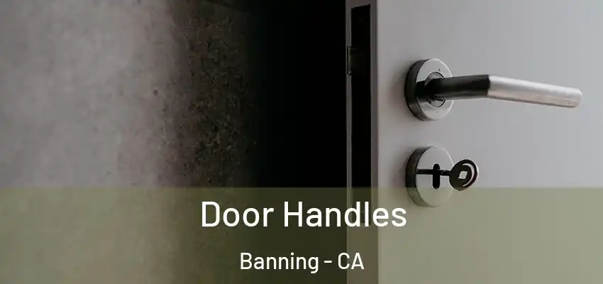 Door Handles Banning - CA