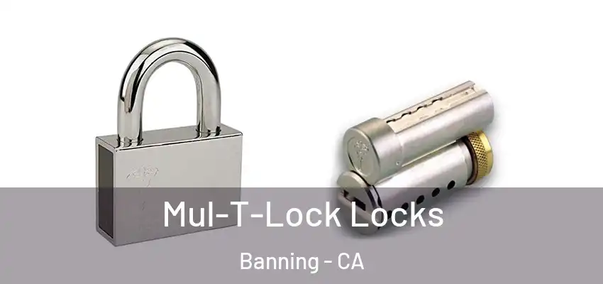  Mul-T-Lock Locks Banning - CA